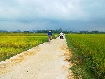Năm 2014 phấn đấu duy trì tốc độ tăng trưởng nông lâm thủy sản ở mức 2,3-2,5 %,