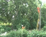 Quảng điền triển khai các biện pháp an toàn lưới điện trước mùa mưa bão