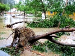 Bộ Y tế lập đoàn kiểm tra, hướng dẫn phòng, chống dịch bệnh sau bão, lụt tại Thừa Thiên Huế