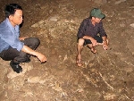 Chuẩn bị khai quật khảo cố tại Hang Diêm, Thanh Hóa
