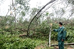 Nam Đông: Hơn 1.200 suất quà cho bà con bị thiệt hại do bão số 11 gây ra