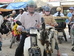 Huế: tăng cường triển khai kiểm soát giết mổ và buôn bán gia cầm dịp Tết Đoan Ngọ.