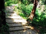 Những thắng cảnh ở Vinh Hiền: Túy Vân, Linh Thái, Tư Dung
