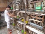 Trên 70 tỷ đồng hỗ trợ cho quỹ “Ngày vì người nghèo” của tỉnh
