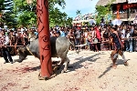 Ngày hội văn hóa, thể thao và du lịch các dân tộc miền núi lần thứ XI-2015 khai mạc vào ngày 15/5/2015