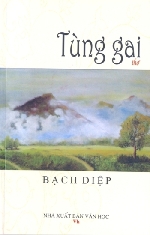 Những góc nhìn về 'Tùng gai'