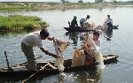 Thả hơn 10 nghìn con tôm giống tái tạo nguồn lợi thuỷ sản đầm Cầu Hai