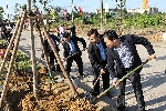 Thành phố Huế: Phát động Tết trồng cây xuân Đinh Dậu 2017 