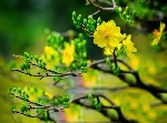 Tự biết mình