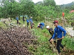 Nhiều chương trình tại hoạt động tình nguyện hè cấp tỉnh năm 2017