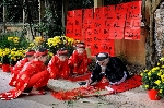 Đầu Xuân, nên làm gì ?