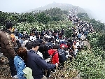 Một vốn, bốn lời