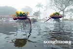 Chuyện hoa ngày tết ở Huế