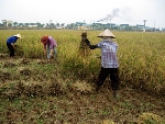 Bao giờ phim tài liệu hết là “phim dọn bãi”? 