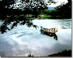 Tiếng hát và du thuyền trên sông Hương