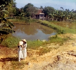 Trong giọng nói tôi