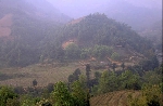 Chùm thơ Mai Tuyết