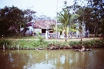 Chùm thơ Dự thi