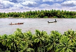 Chiều Hàm Luông