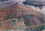 Thơ Sông Hương 05&6-1993