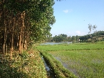 Chùm thơ Ngô Mậu Tình