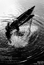 Chùm thơ Thành Phong