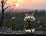 Chùm thơ Đỗ Thượng Thế