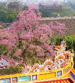 Thơ Sông Hương 05-2025