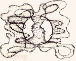 Trôi dạt trong ánh trăng