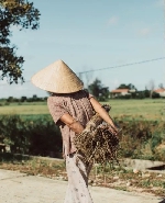 Góc vườn của mẹ