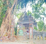 Tín ngưỡng thờ cây trong đời sống tinh thần của người Huế