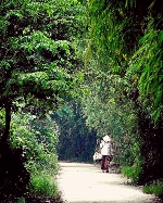 Bài thơ dâng mẹ