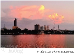 Cơn mưa Tím