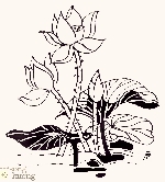 Chùm thơ Thy Nguyên