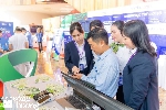  TP Huế tổ chức các hoạt động hưởng ứng “Ngày Chuyển đổi số quốc gia năm 2026”