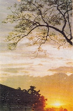 Thơ Sông Hương 03-1994