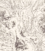 Chùm thơ Nguyễn Đức Phú Thọ