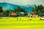 Âm vang Điện Biên