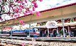 Kết nối du lịch giữa Cố đô Huế - Phong Nha bằng đường sắt