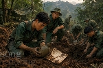 Những mùa xuân dưới đất sâu