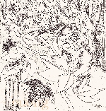 Chùm thơ Duyên An