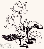 Chùm thơ Trần Việt Hoàng