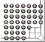 Những bài thơ hình thức lạ