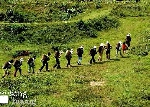 Suối nguồn A Lưới