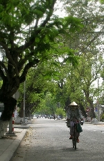 Cảm nhận Huế