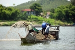 Trở lại Hương Trà