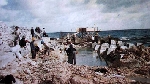 Đối mặt với bão tố 