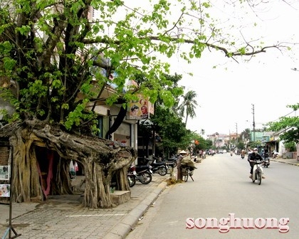 Thôn Vỹ ngày đó...