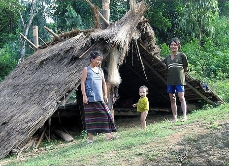 Một đời người một rừng cây