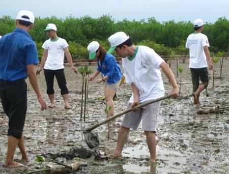 Nỗ lực xanh trên đầm phá Tam Giang - Cầu Hai 